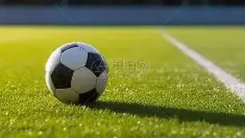 立博体育 产品 050431 5x7